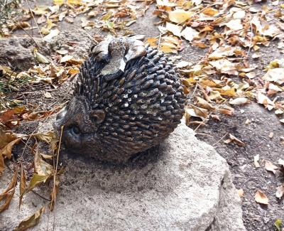 Прикрепленное изображение: DSCF6228c.jpg